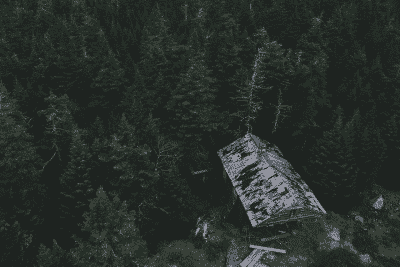 dilapidated house with chimney leak issues in the woods