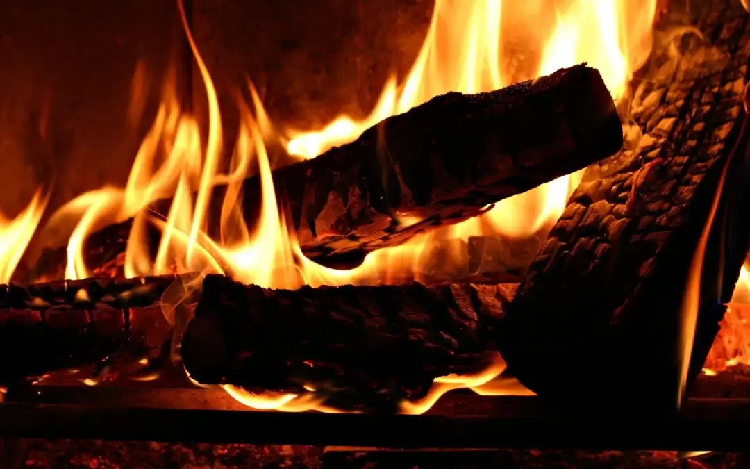 close up of firewood burning