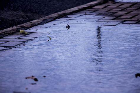 water collecting on a roof