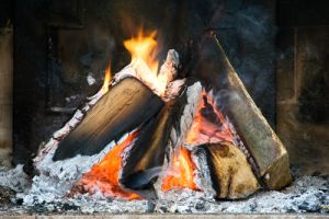 Smoky Fireplace from burning Wet Wood