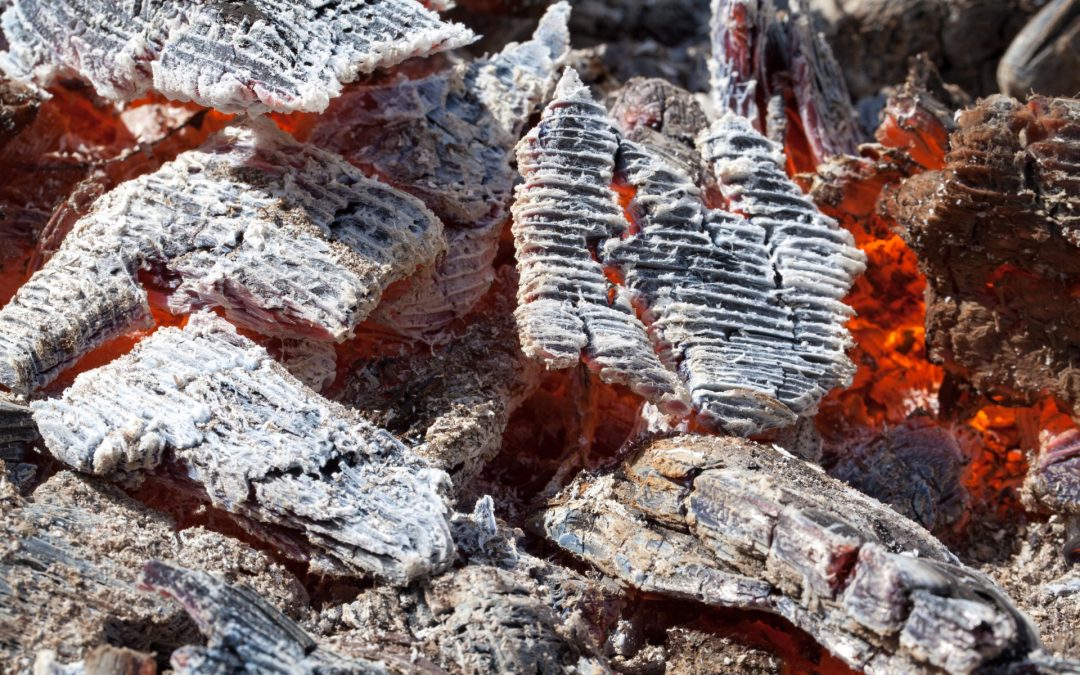 active charcoal and ash